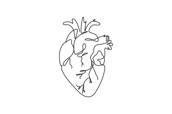 Download Single-line Drawing of the Human Heart - Drawing Collection