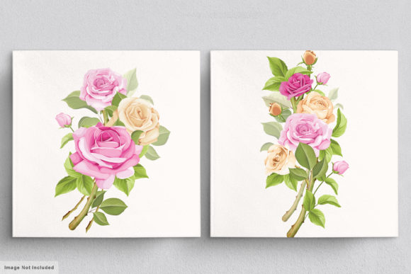 Download Beautiful Roses Hand Drawn Illustrations - Hand drawn Collection