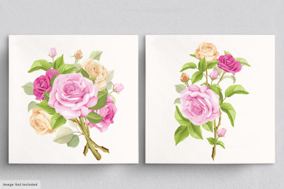 Download Beautiful Roses Hand Drawn Illustrations - Hand drawn Collection