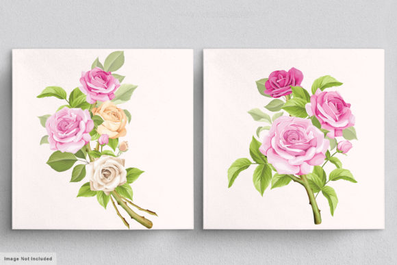 Download Beautiful Roses Hand Drawn Illustrations - Hand drawn Collection