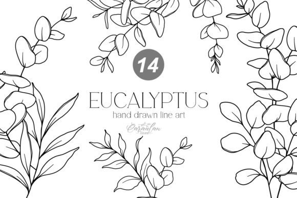 Download EUCALYPTUS LINE DRAWING, Floral Line Art - Drawing Collection