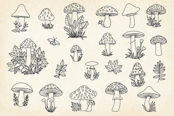 Download Hand-drawn Mushrooms Minimalist Art Set - Minimalist art Collection
