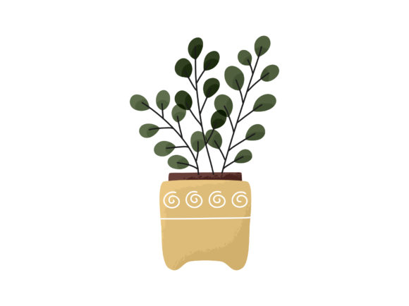 Download Leaves Vase Modern House Plant Potted - Premium Bundle