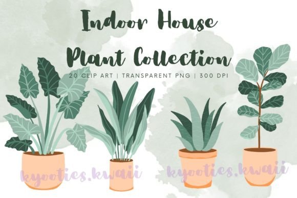 Download Indoor House Plant Clip Art Collection - House plant Collection