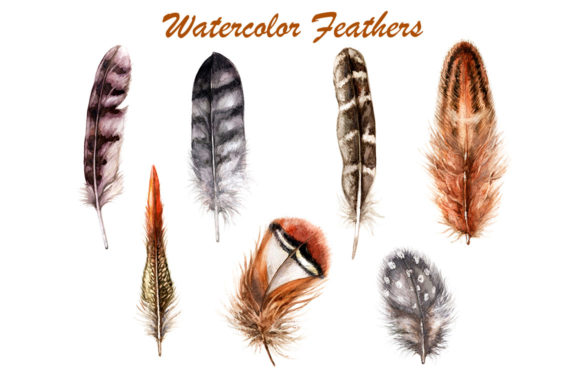 Download Hand Drawn Feathers - Hand drawn Collection